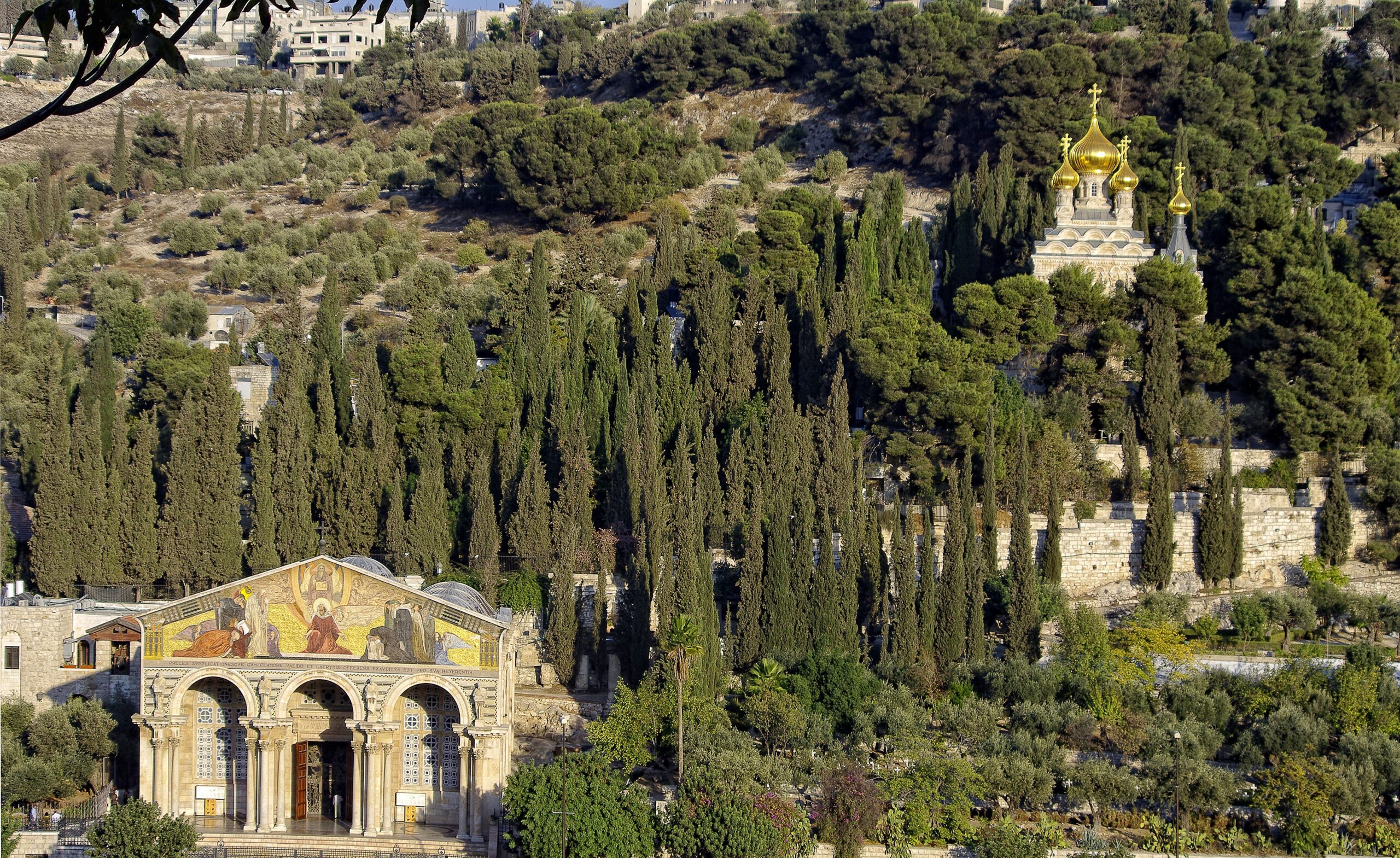 Monte degli ulivi e Getsemani